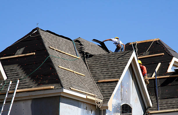 Best Storm Damage Roof Repair  in Amery, WI