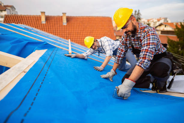Best Gutter Installation and Roofing  in Amery, WI