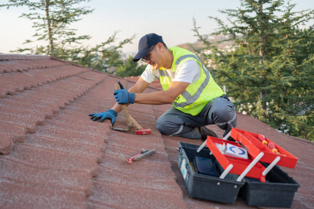 Best Flat Roof Repair Services  in Amery, WI