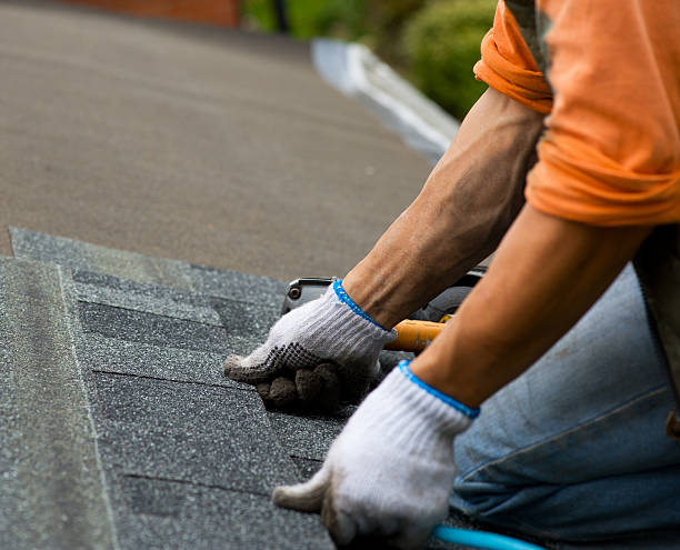 Best Roof Maintenance Services  in Amery, WI